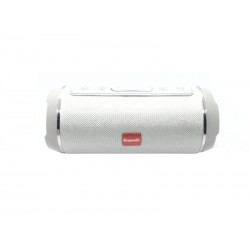 SPEAKER ECOPOWER EP-2316 - USB - SD - RADIO FM - BLUETOOTH