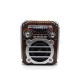 RADIO ECOPOWER EP-F91B - BATERIA - SD - USB - BLUETOOTH