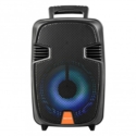 PARLANTE MEGASTAR SPA-080 USB/MICROFONO/8" /FM/BLUETOOTH