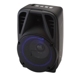 SPEAKER NNS NS-Q86BT /FM/ /USB/BT