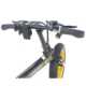 BICICLETA ELETRICA FOSTON - FS-P200 - ARO 20