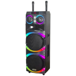 SPEAKER AILIANG UF-A1215K 12"X2 MICROFONO Y BLUETOOTH