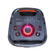 SPEAKER ECOPOWER EP-1956 8"x2/BLUETOOTH/MICROFONO