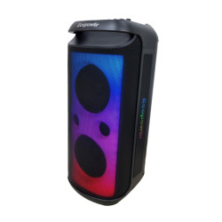 SPEAKER ECOPOWER EP-S123 BLUETOOTH/USB