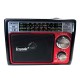 RADIO ECOPOWER EP-F35 REC/USB/SD/BLT