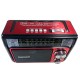 RADIO ECOPOWER EP-F35 REC/USB/SD/BLT