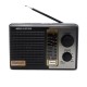 RADIO MEGASTAR RX-17BT AM/FM/USB/BLT