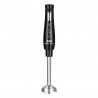 MIXER RAF R.9303B - 350W - NEGRO - 110V