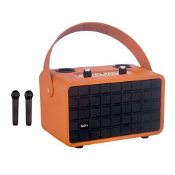 SPK JBK S2313 FM/REC/USB/TF/BT