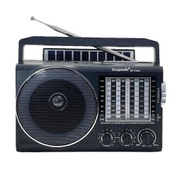 RADIO ECOPOWER EP-F304 REC / USB / SD / BLT