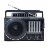 RADIO ECOPOWER EP-F304 REC / USB / SD / BLT