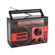 RADIO ECOPOWER EP-F301 REC / USB / SD / BLT