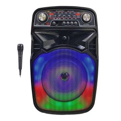 RADIO ECOPOWER EP-F33 REC/USB/SD/BLT