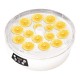 DESIDRATADOR DE ALIMENTOS WINNINGS. 220V