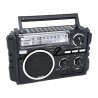 RADIO ECOPOWER EP-F310 REC / USB / SD / BLT