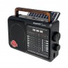 RADIO ECOPOWER EP-F309 REC / USB / SD / BLT