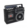 RADIO ECOPOWER EP-F303 REC / USB / SD / BLT
