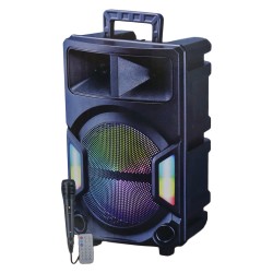 SPEAKER PARTY KANDEXS YE-1208 - 12'' - BLT - AUX - MIC C/ CABLE