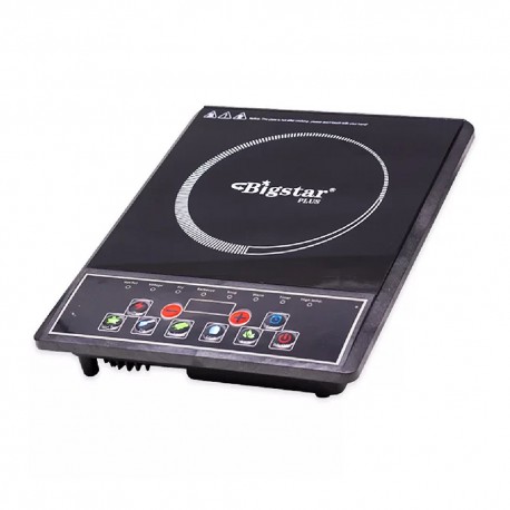 PLACA INFRARROJA BIGSTAR BSP-02P 110V