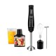 MIXER 5 EN 1 RAF R.309B - 300W- NEGRO - 220V