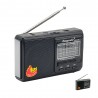 RADIO ECOPOWER EP-F327 - REC/USB/SD/BLT