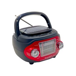 RADIO ECOPOWER EP-F306 REC/USB/SD/BLT