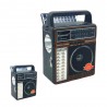 RADIO ECOPOWER EP-F319 - REC/USB/SD/BLT