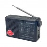RADIO ECOPOWER EP-F312 - REC/USB/SD/BLT