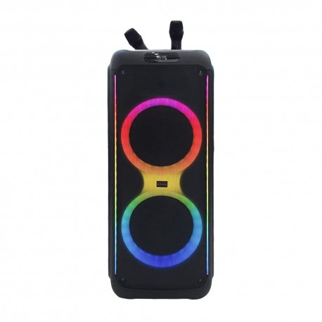 SPK KOLAV J2225 2X12" REC/USB/MIC/BLUETH