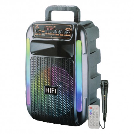 SPK PARTY YE-082 USB/FM/BLUT 01 MIC.FIO