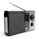 RADIO ECOPOWER EP-F501 - REC/USB/SD/BLT