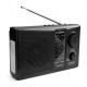 RADIO ECOPOWER EP-F502 - REC/USB/SD/BLT