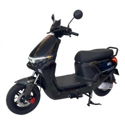 MOTO ELET.FOSTON GT6 1000W PRETA NA/CX