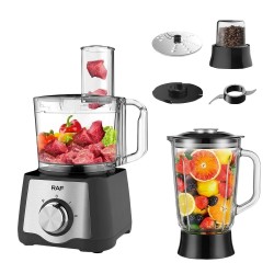 MULTIPROCESADOR 7X1 RAF R.305 - 600W - 220V