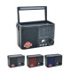 RADIO ECOPOWER EP-F335 - REC/USB/SD/BLT