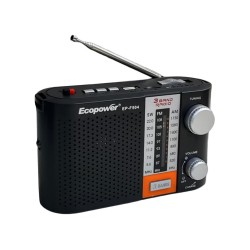 RADIO ECOPOWER EP-F504 - REC/USB/SD/BLT