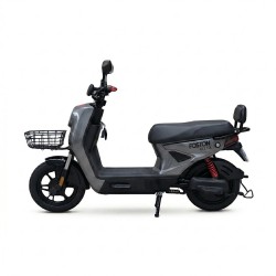 MOTO ELECTRICA FOSTON X14 MAX (X13-DX) 32KM/H - GRIS
