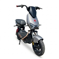 MOTO ELETRICA FOSTON X16 (X13-FX) 32KM/H - CINZA
