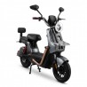 MOTO ELECTRICA FOSTON X17 (X13-GX) - 32KM-H - GRIS