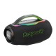 SPEAKER ECOPOWER EP-S809 - BLT