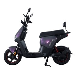 MOTO ELECTRICA FOSTON X15 BR - 960W/32KM-H