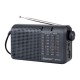 RADIO ECOPOWER EP-F341 - REC/USB/SD/BLT