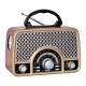 RADIO MEGASTAR RX-2154BTG - FM/AM/USB